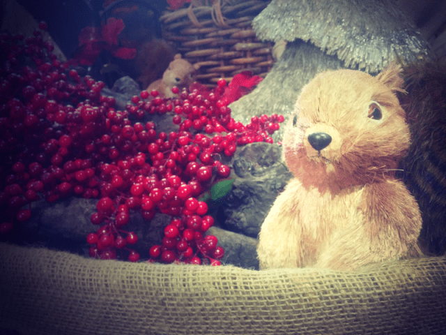 scoiattoli-cestino-natale