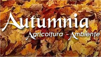 Autumnia