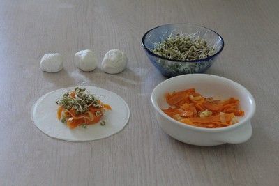 involtini_primavera_3