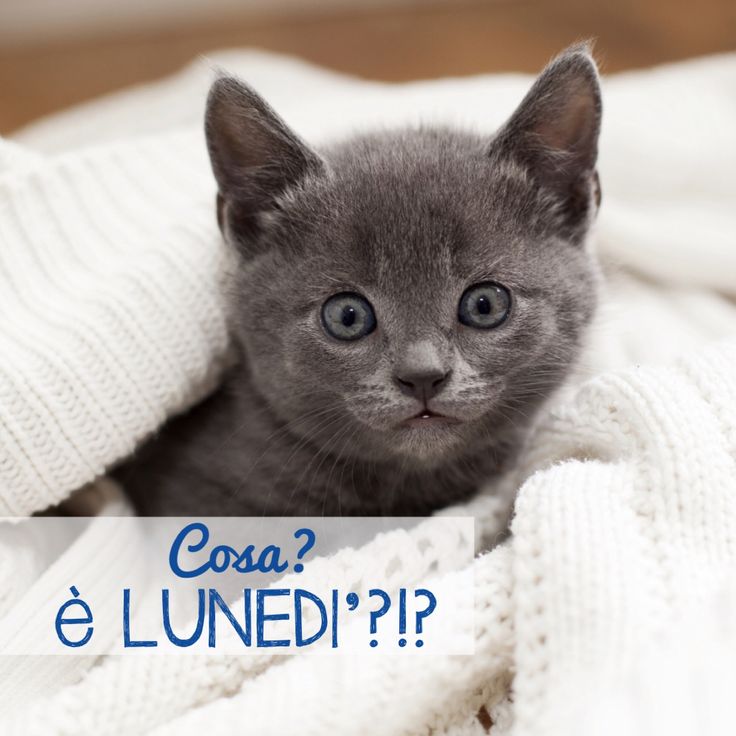 647f8bc7314d76e40baa0e36dca92bed