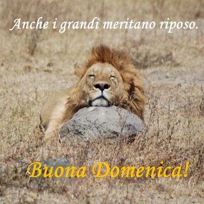 buona-domenica-16