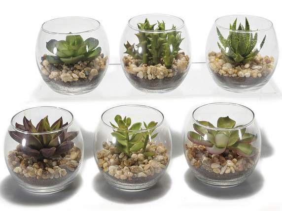 pianta-grassa-cactus-finti_543198